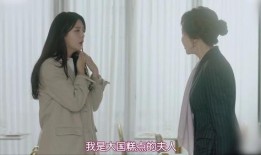 女士复仇在线观看,女士复仇在线观看全解析